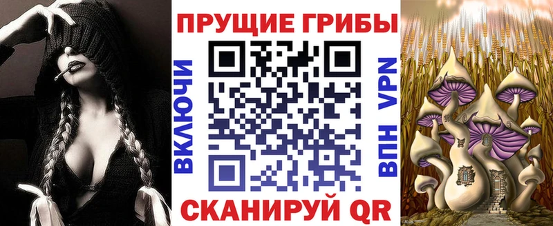 Галлюциногенные грибы MAGIC MUSHROOMS закладки Вихоревка